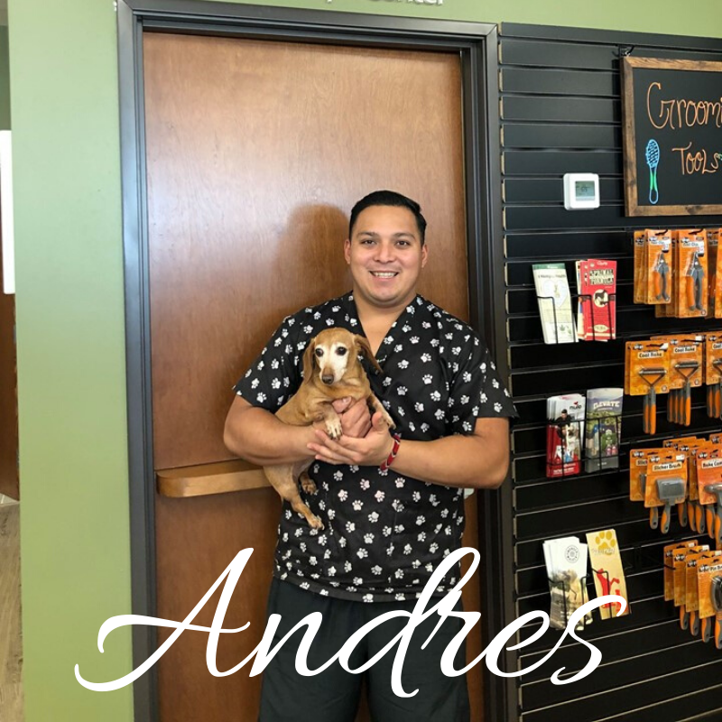 Our groomer, Andres, holding a Dachshund in his hands and smiling. 
