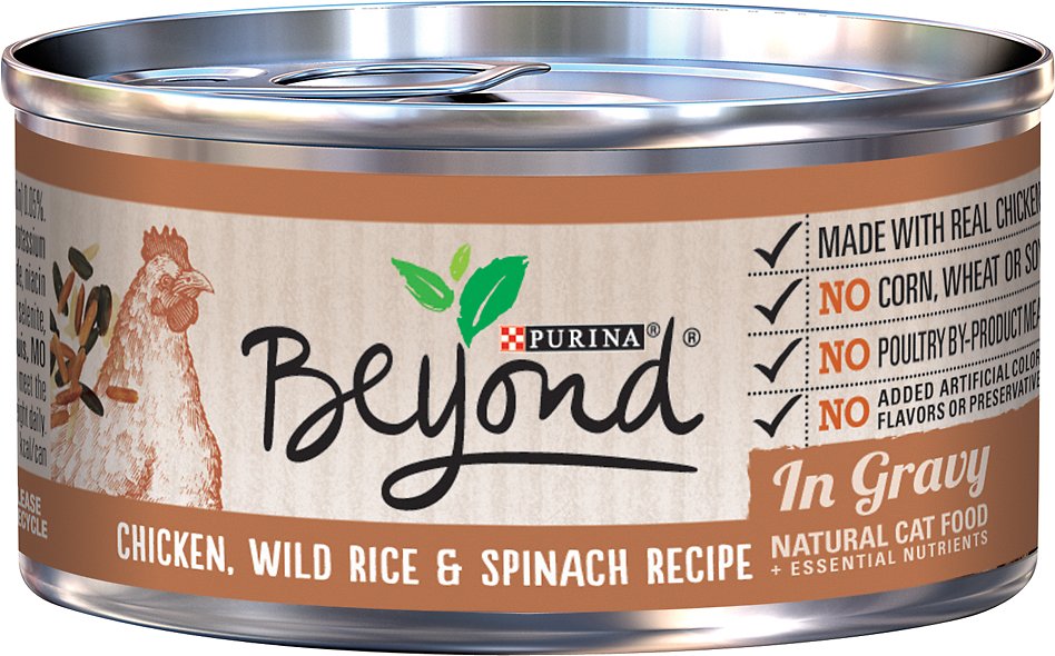 Purina Beyond Chicken, Wild Rice & Spinach Recipe in Gravy Canned Cat Food, 3-oz, case of 12