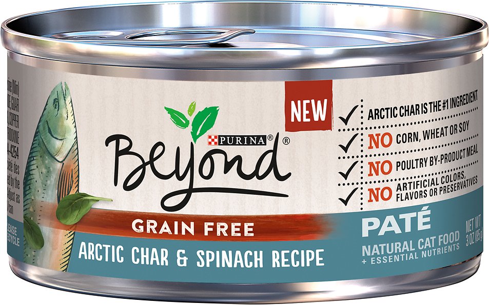 Purina Beyond Arctic Char & Spinach Pate Recipe Grain-Free Canned Cat Food, 3-oz, case of 12