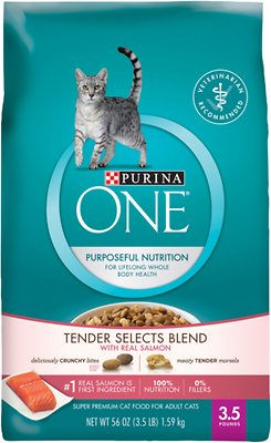 Purina ONE Tender Selects Blend with Real Salmon Dry Cat Food, 3.5-lb |  Petopia