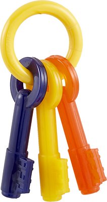 Nylabone Puppy Chew Teething Keys Dog Toy, Large