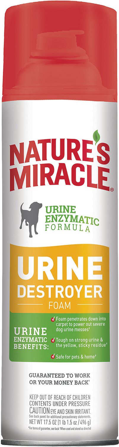 Nature's Miracle Dog Enzymatic Stain Urine Destroyer Foam Aerosol Spray, 17.5-oz bottle