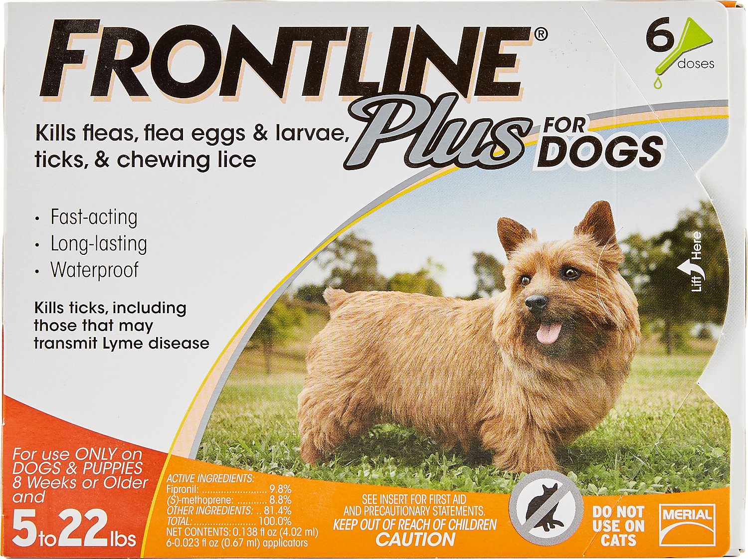 Can You Use Frontline For Cats On Small Dogs CatWalls