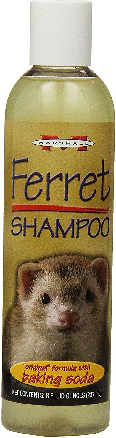 Reed's Services, Inc