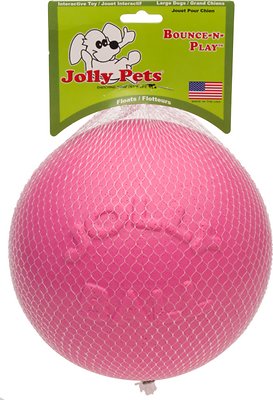 Jolly Pets Bounce-n-Play Dog Toy, Pink, 8-in | Paw's Natural Pet