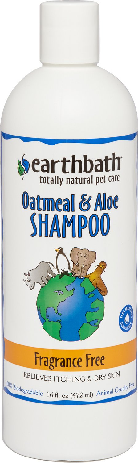 Earthbath Oatmeal & Aloe Fragrance Free Dog & Cat Shampoo, 16-oz bottle