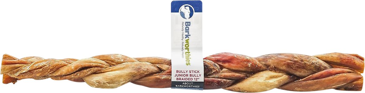 Barkworthies Junior Braided 12" Bully Sticks Dog Treat
