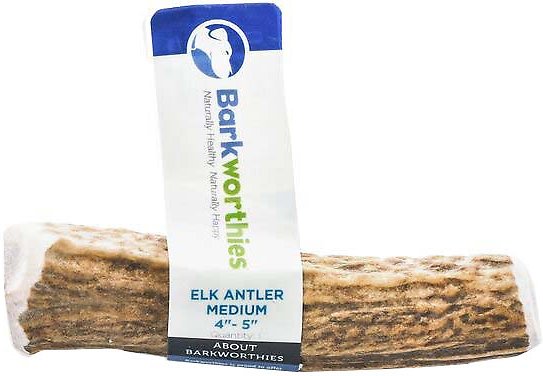 Barkworthies Medium Elk Antler Dog Chews, Whole Chew