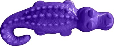 Arm & Hammer Dental Ora Play Denta-Saurus Mint Flavor Dental Dog Toy