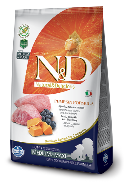 Farmina N&D Pumpkin Lamb & Blueberry Medium & Maxi Puppy Dog Dry Food, 5.5-lb