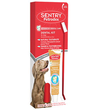 Sentry Petrodex Advanced Dental Care Kit Peanut Butter Flavor, 2.5-oz tube