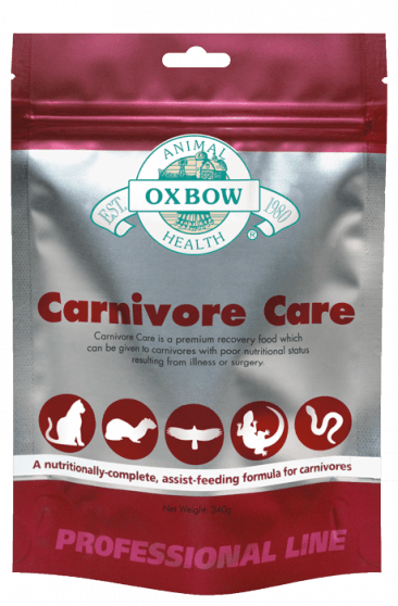Oxbow Animal Health Carnivore Care Assist-Feeding Formula Pet Supplement, 70-g