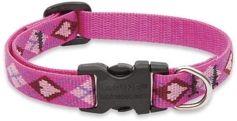 Lupine Pet Original Designs Adjustable Dog Collar, Puppy Love, 1/2-in x 10-16-in