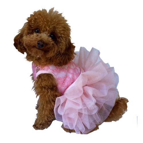 large dog dresses Big Clothes This stylish and comfortable outfit is perfect for birthdays Sparkly Sequin Dog Tutu Dress